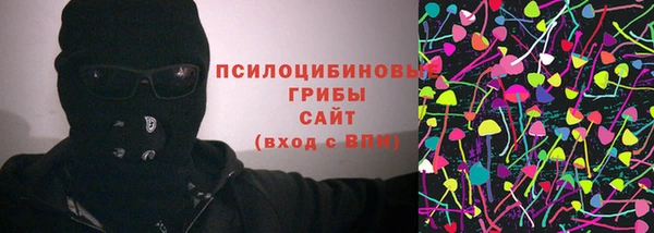 сатива Богородск