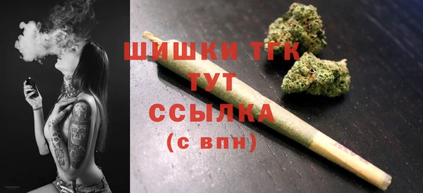 гидропоника Белокуриха