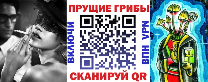 Псилоцибиновые грибы Psilocybine cubensis  нарко площадка формула  Касли 